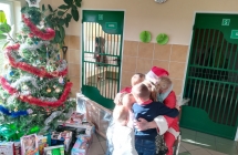 IMG_20191206_111734