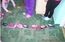 DSCN8233